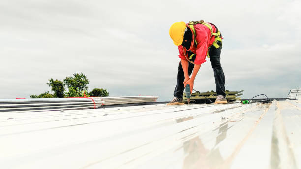 Best Roof Moss and Algae Removal  in Gardiner, ME